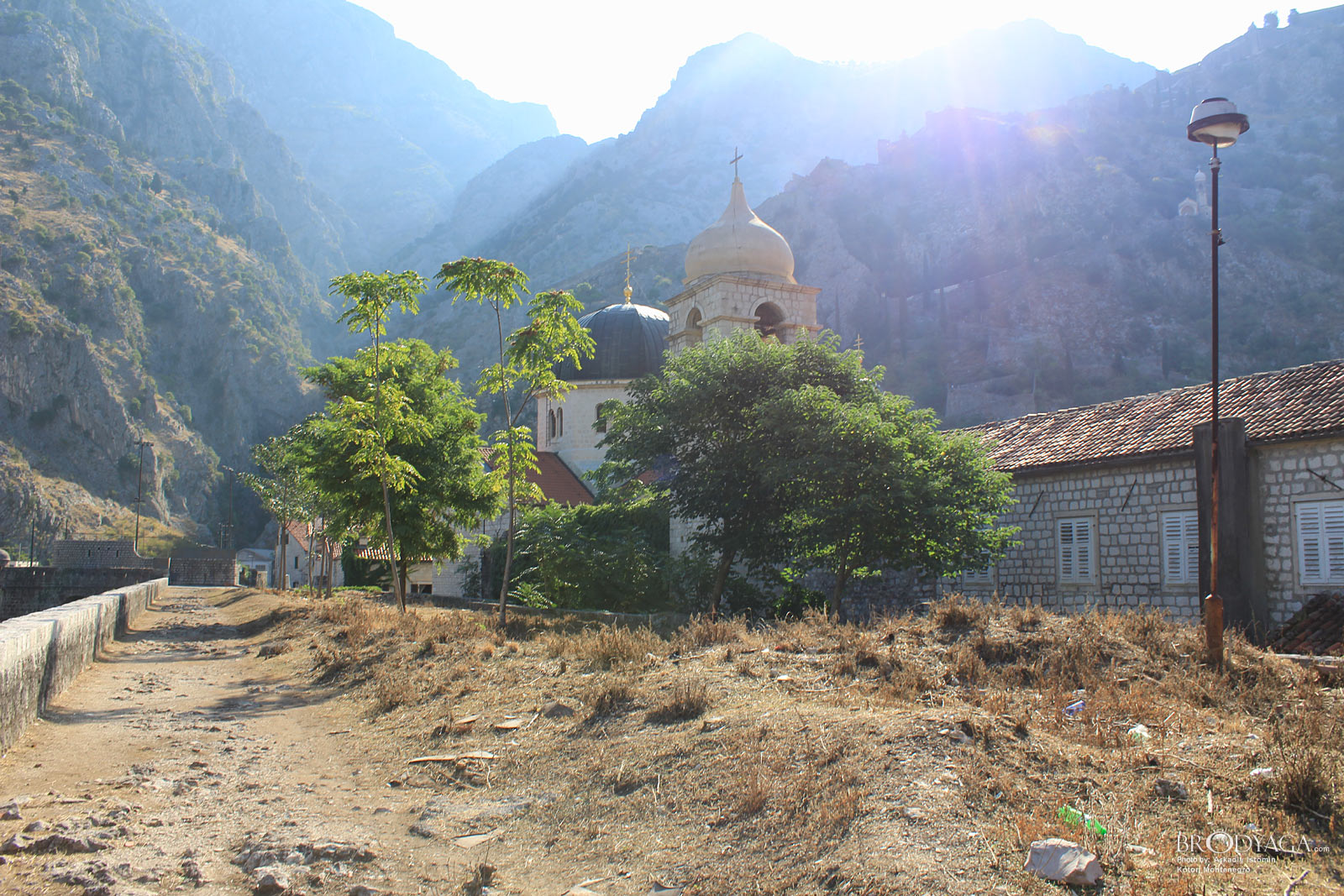 Kotor